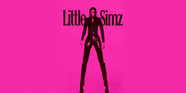Little Simz Tickets